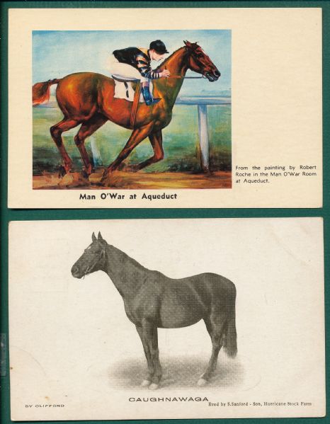 Lot of (6) Horse Racing Post Cards W/ Man O' War