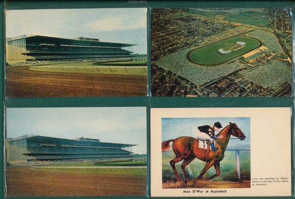 Lot of (6) Horse Racing Post Cards W/ Man O' War