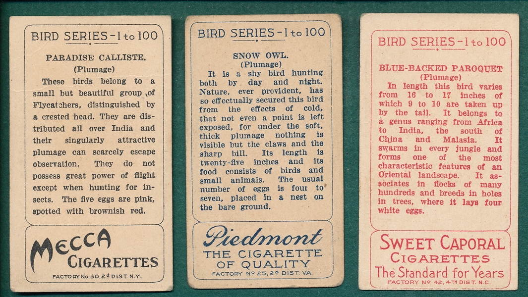 1910 T42 Birds, White Border, Lot of (56)