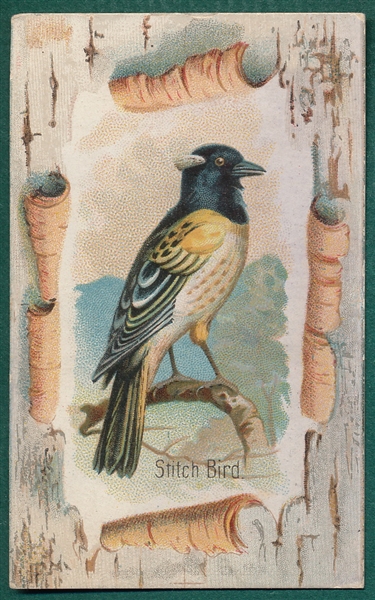 1910 Red Robin Tobacco, Stitch Bird