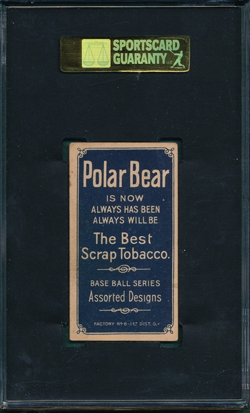 1909-1911 T206 Schirm Polar Bear SGC 60