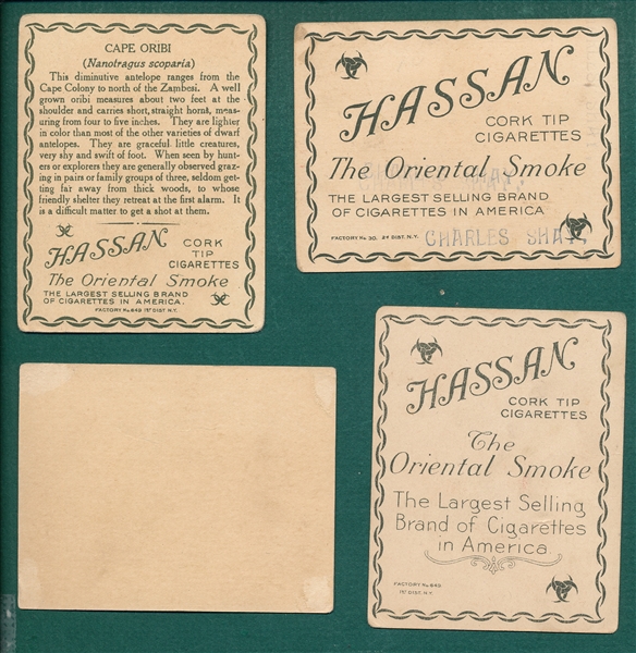 1910 T29 Animals Hassan Cigarettes Complete Set (80) W/ Blank Backs