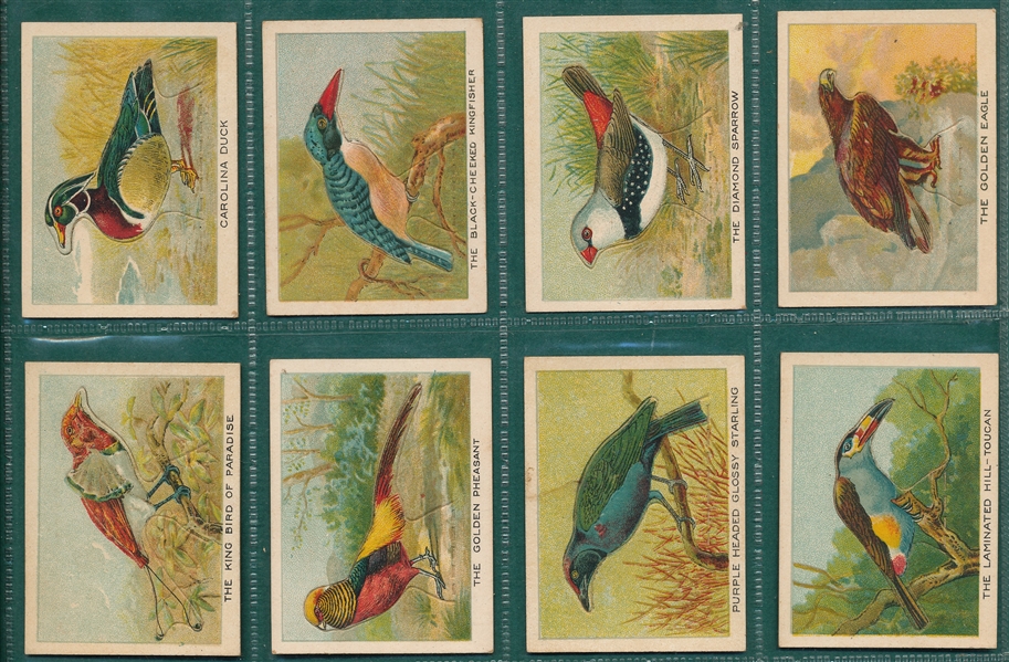 1930s Birds, Beasts & Fishes, CBat, Lot of (20) Pop-Ups