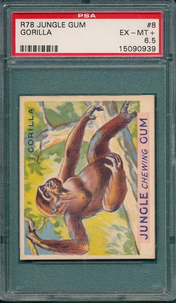 1930 Jungle Gum #8 Gorilla PSA 6.5