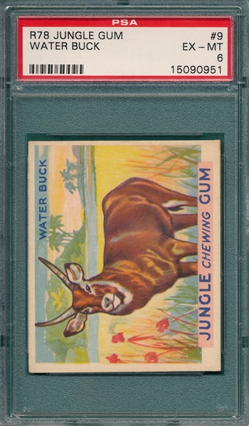 1930 Jungle Gum #9 Water Buck PSA 6