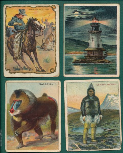 1910s T29, T30, T53 & T77 Hassan Cigarettes (50) Card Lot