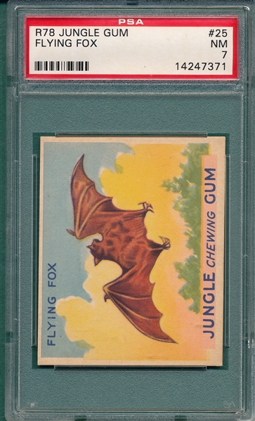 1930 Jungle Gum #25 Flying Fox PSA 7