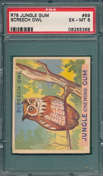 1930 Jungle Gum #59 Screech Owl PSA 6